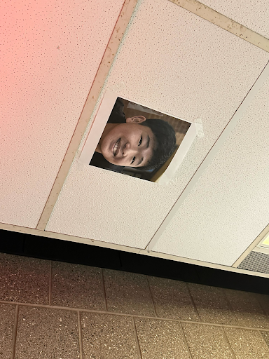Yoshi on the ceiling